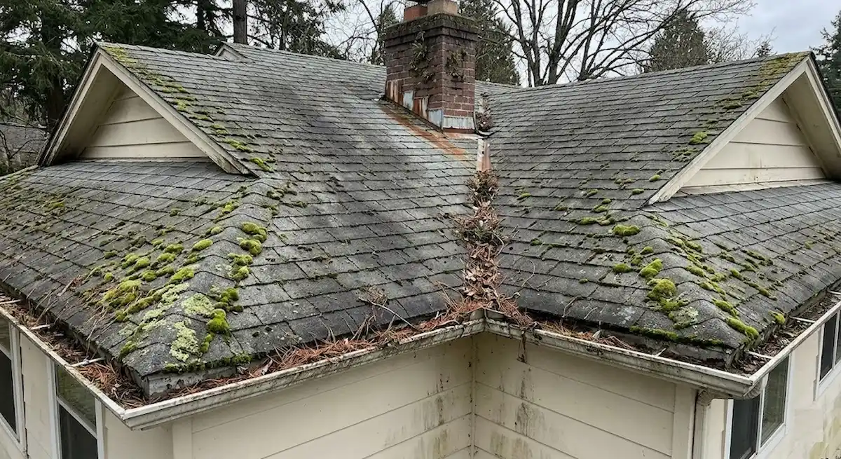 Roof-Maintenance-before Roof Maintenance before